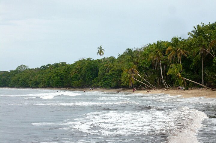 Private Transfer From San Jose Airport To Cahuita - Photo 1 of 7